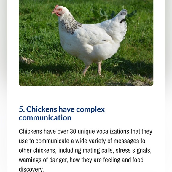 #4 LIKE LISTING #5 Comments Full - Picture 10 of 16